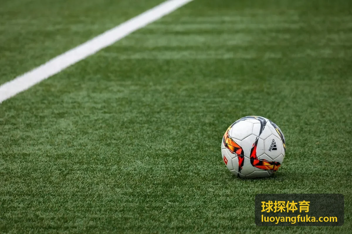 球探体育青训评估系统